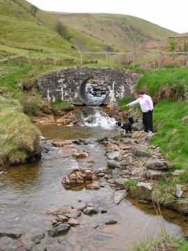 Stream outside cottage