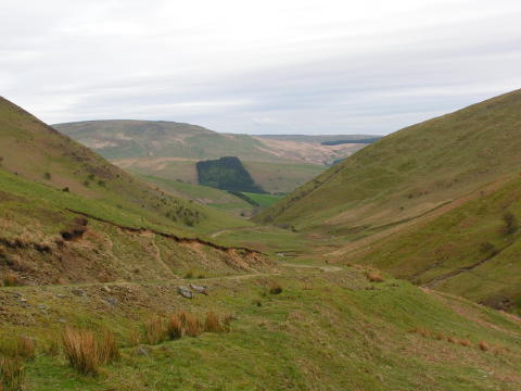 View outside cottage 3