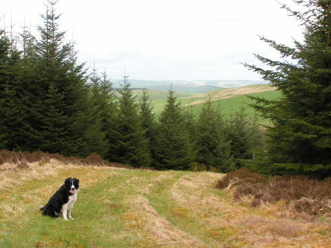 Theo admiring the view