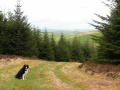 Theo admiring the view